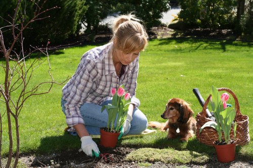 Expert landscapers at work in Colindale garden